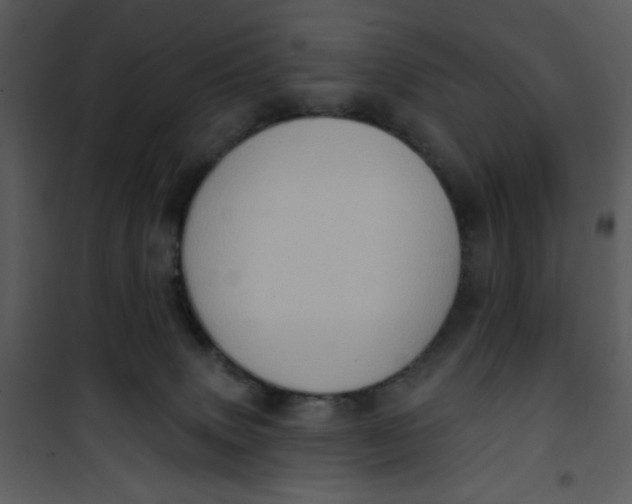 X0000101150083200807181345