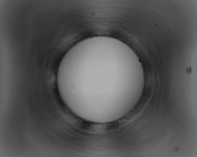 X0000101150084200807181345