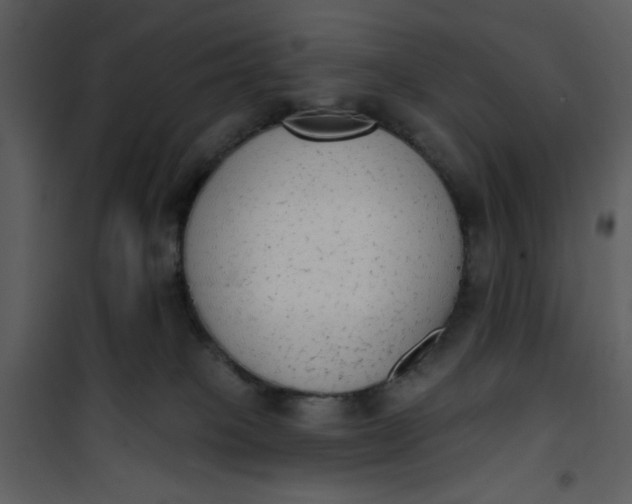 X0000101150085200807181345