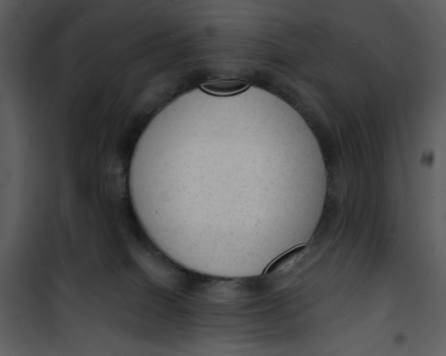 X0000101150086200807181345