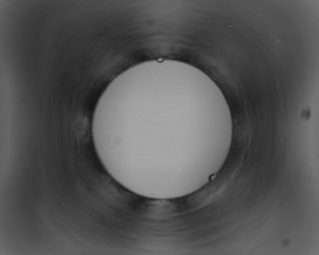 X0000101150087200807181345