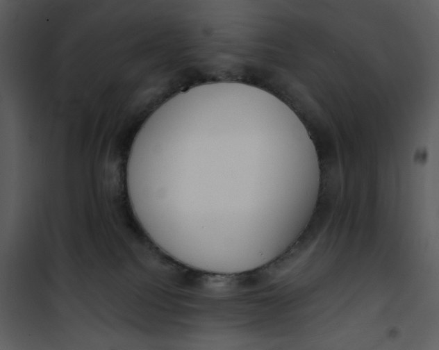 X0000101150088200807181345