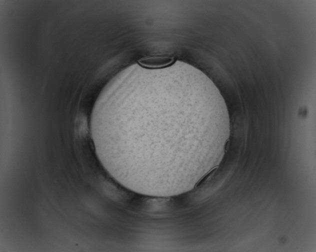 X0000101150089200807181345