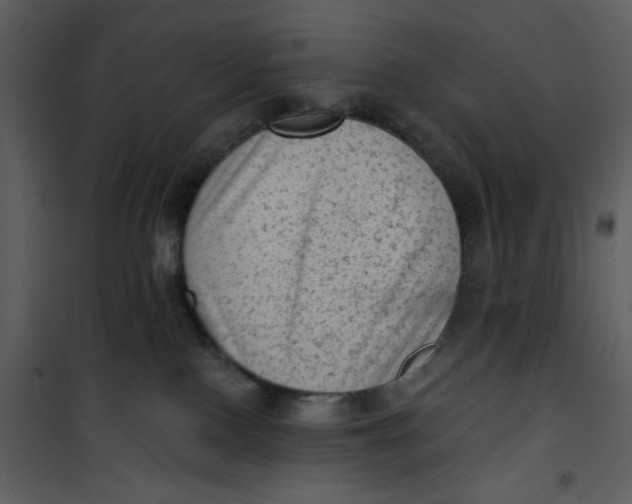 X0000101150090200807181345