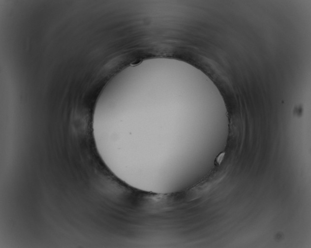 X0000101150092200807181345