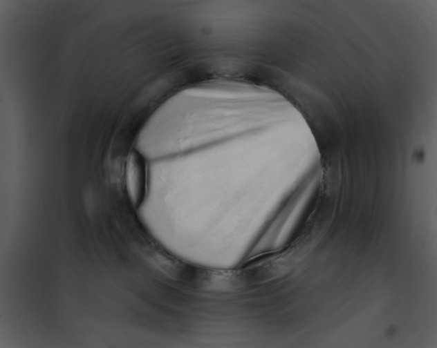 X0000101150093200807181345