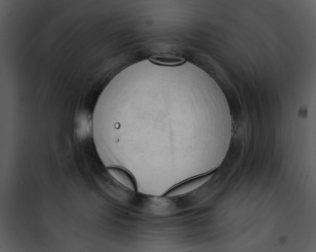 X0000101150095200807181345