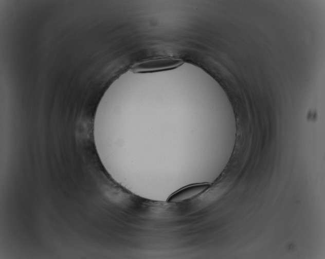 X0000101150096200807181345