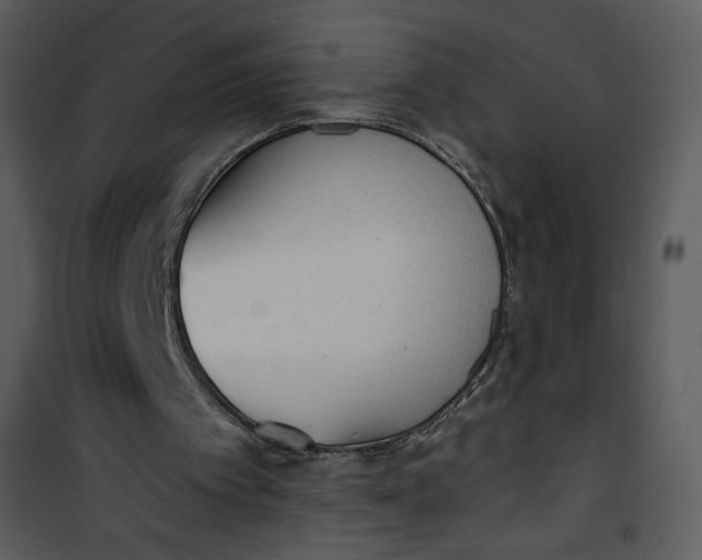 X0000101150097200807181344