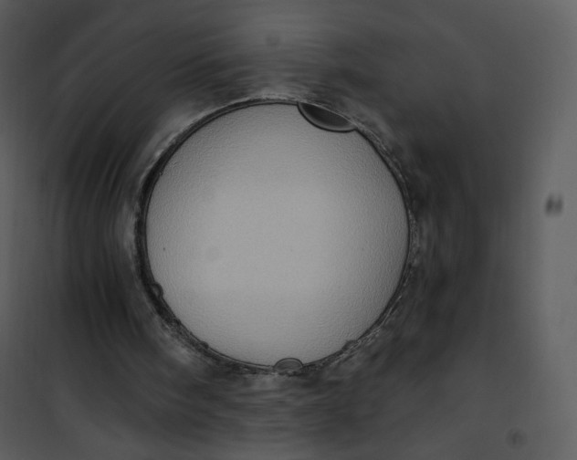 X0000101150098200807181344