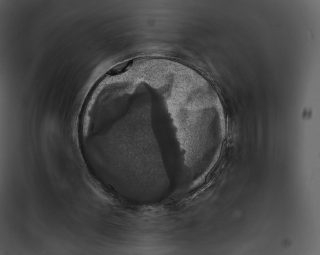 X0000101150099200807181344