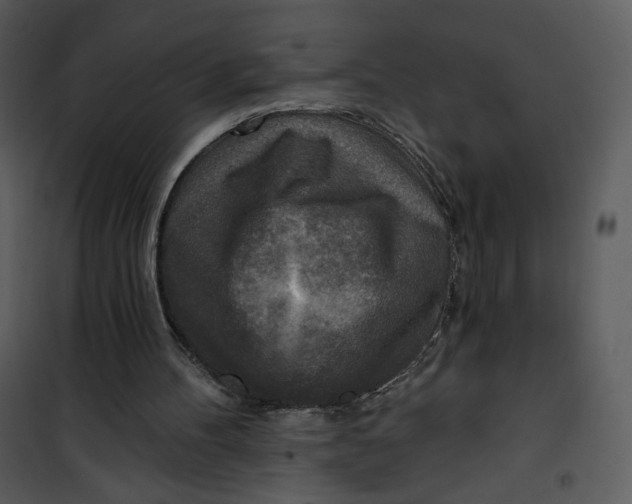 X0000101150100200807181344