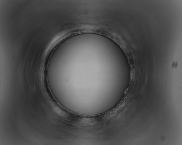 X0000101150101200807181344