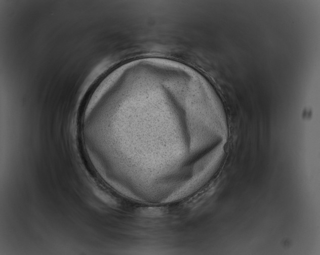 X0000101150102200807181344