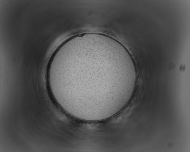 X0000101150103200807181344