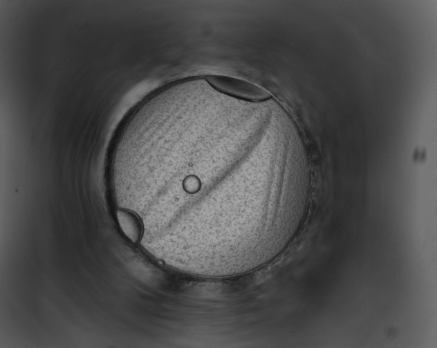 X0000101150104200807181344