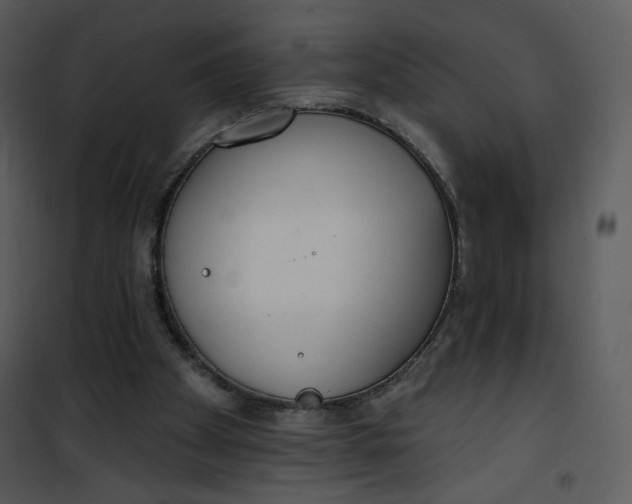 X0000101150105200807181344