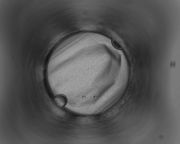 X0000101150106200807181344