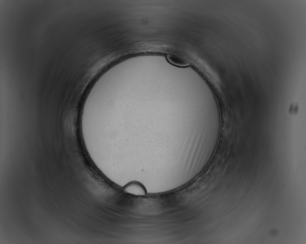 X0000101150107200807181344