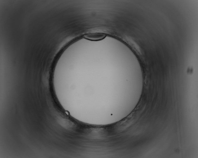 X0000101150108200807181344