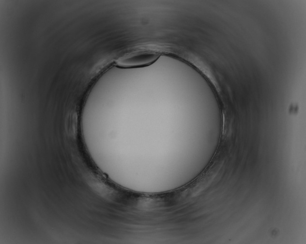 X0000101150109200807181344