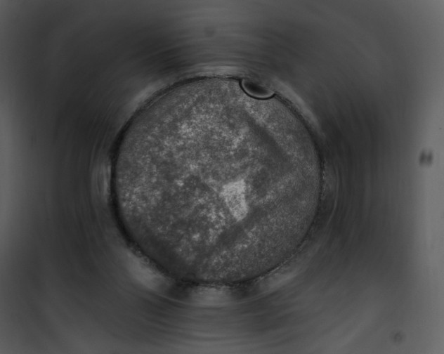 X0000101150110200807181344