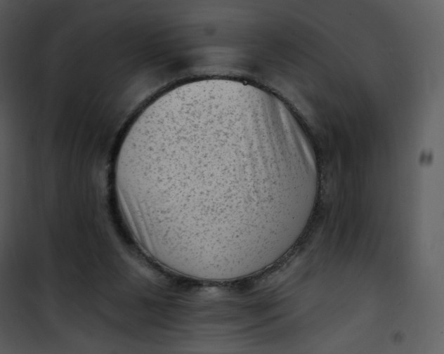 X0000101150111200807181344