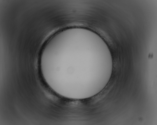 X0000101150112200807181344