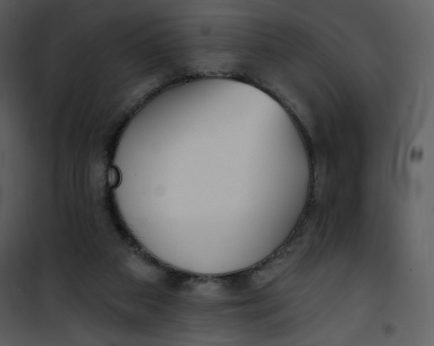 X0000101150113200807181344