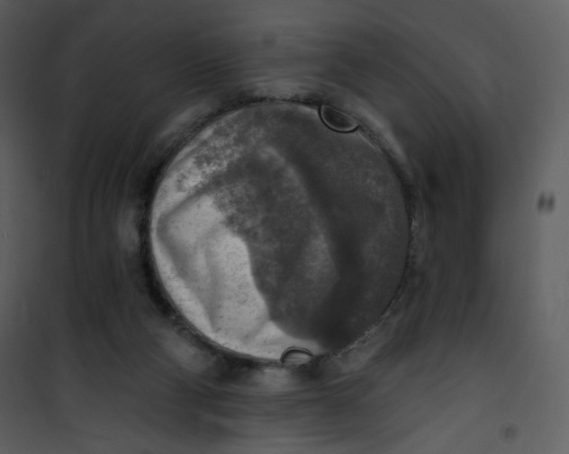 X0000101150114200807181344