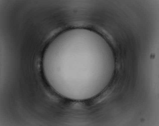 X0000101150115200807181344