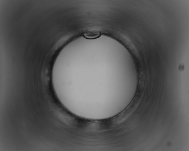 X0000101150116200807181344