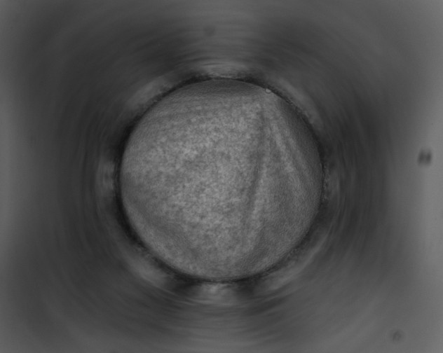 X0000101150117200807181344