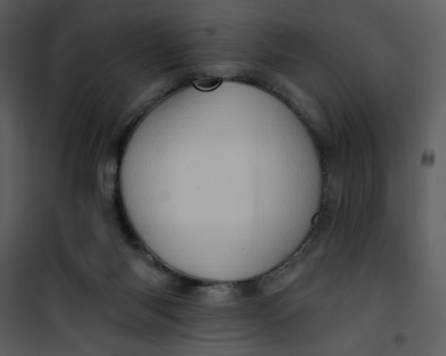 X0000101150118200807181344