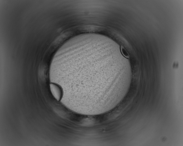 X0000101150119200807181344