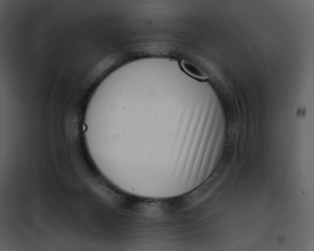 X0000101150120200807181344