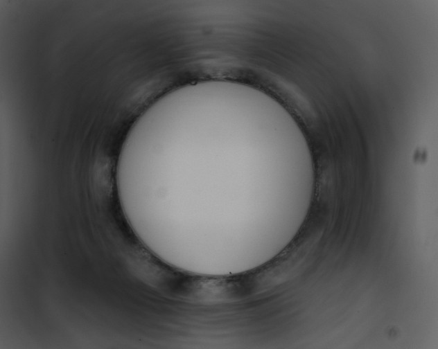 X0000101150121200807181344