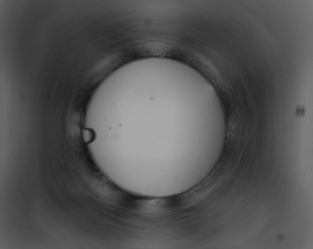 X0000101150122200807181344