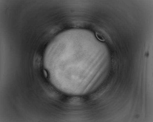 X0000101150123200807181344