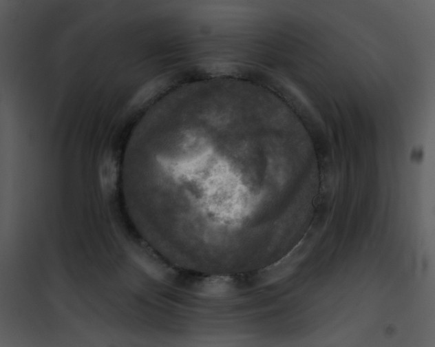 X0000101150124200807181344