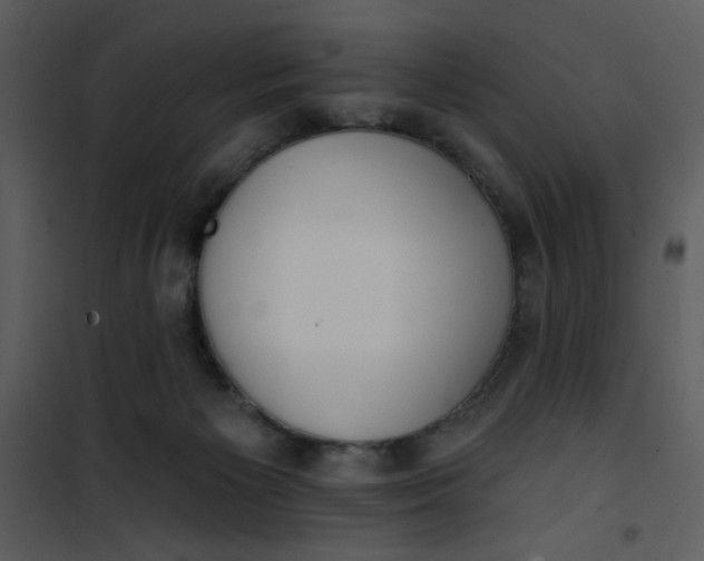 X0000101150125200807181344