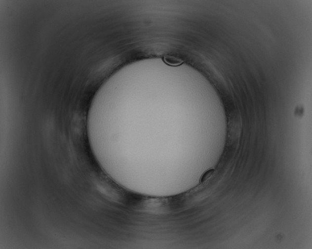 X0000101150126200807181344