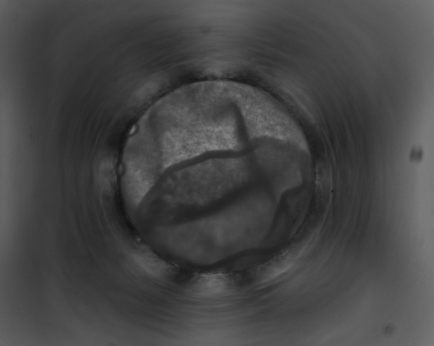 X0000101150127200807181344