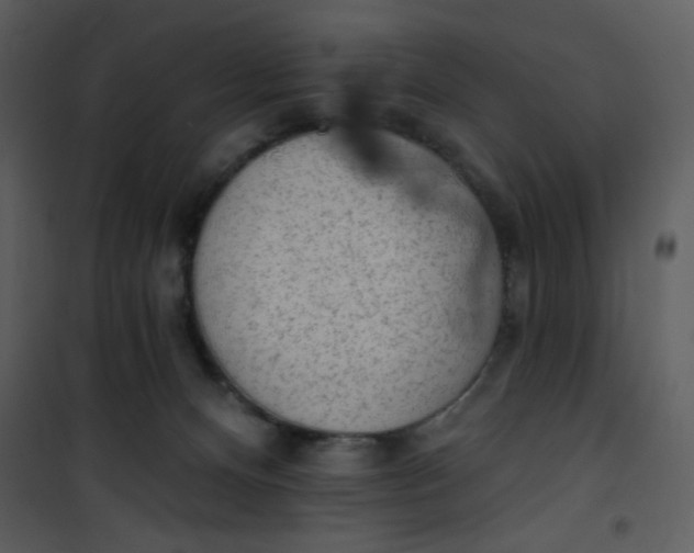 X0000101150128200807181344