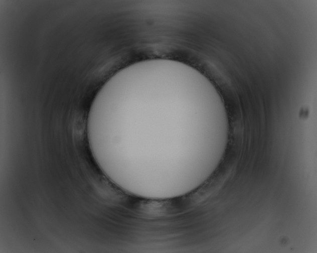 X0000101150129200807181344