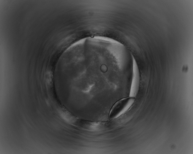 X0000101150130200807181344