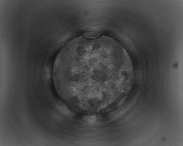 X0000101150131200807181344