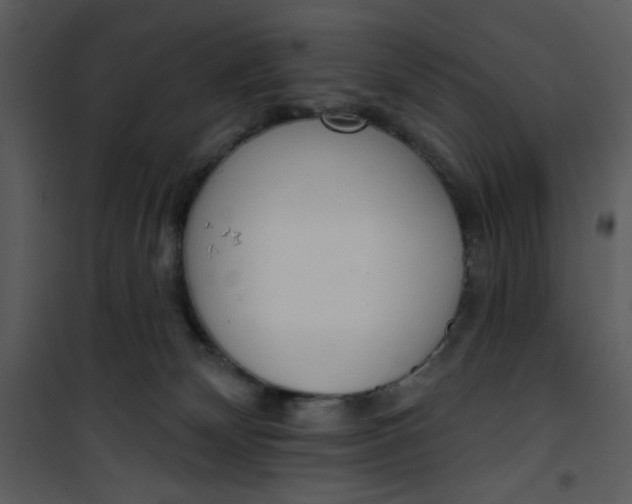 X0000101150132200807181344