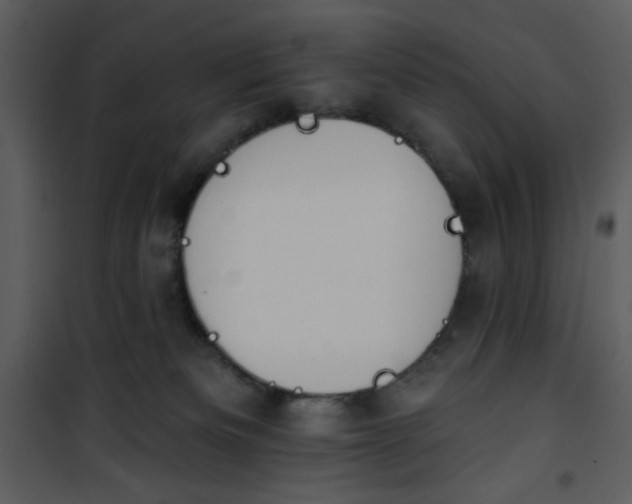 X0000101150133200807181344