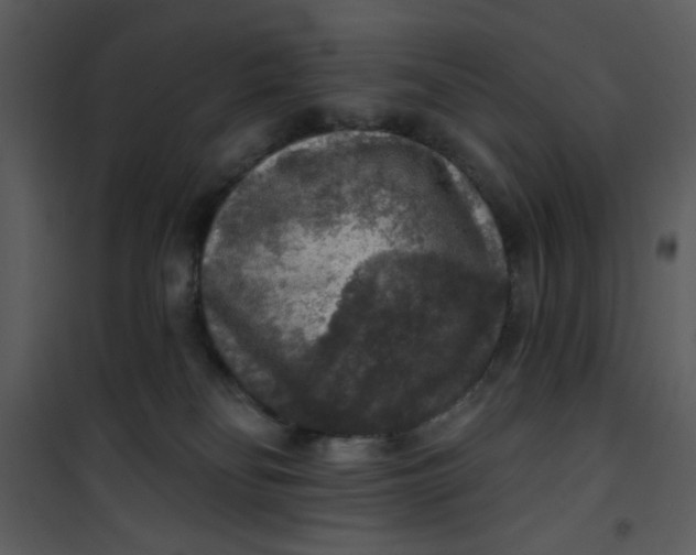 X0000101150134200807181344